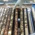 Texas bee keeping blog post